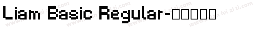 Liam Basic Regular字体转换